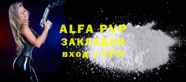 индика Осташков