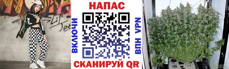 Бошки Шишки план  Алушта 
